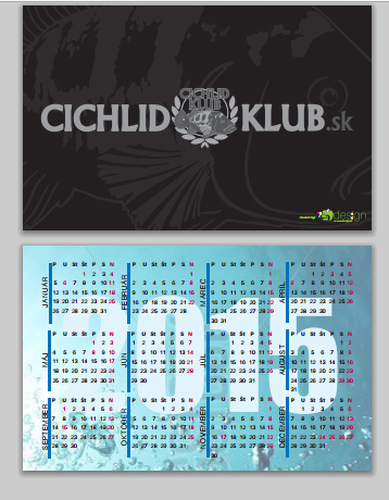 kalendar_cichlid_klub.jpg