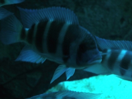 DSCF6179.JPG