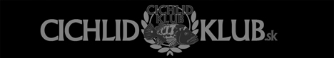cichlidklub_0.jpg