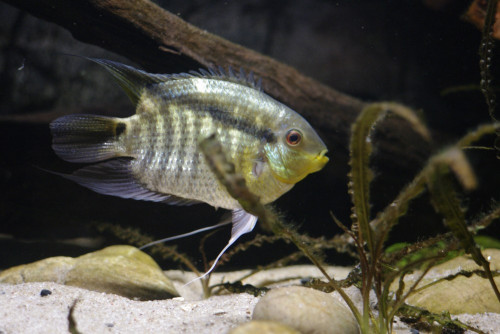 _IGP8750.JPG
