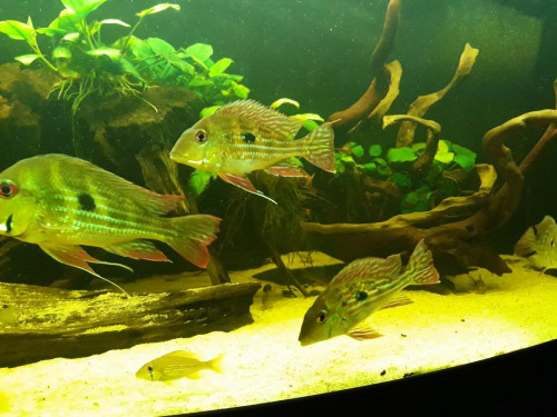 20190428_213721.jpg
