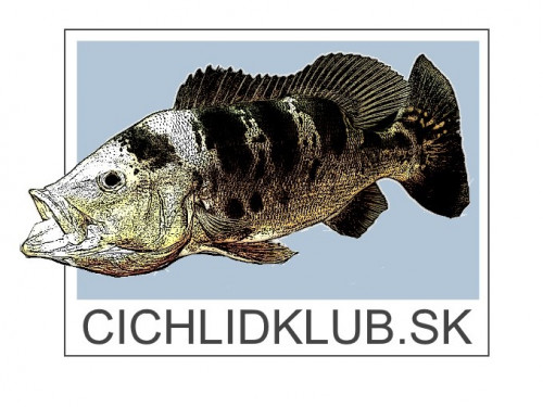 cichla.jpg