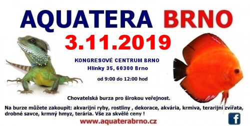 akvatera.jpg (104.88 KiB) Zobrazené 5278 krát akvatera.jpg