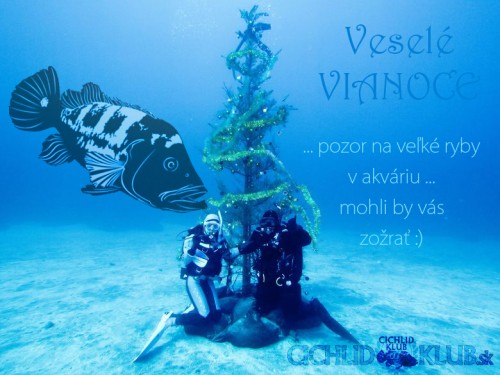 vianoce2014.jpg