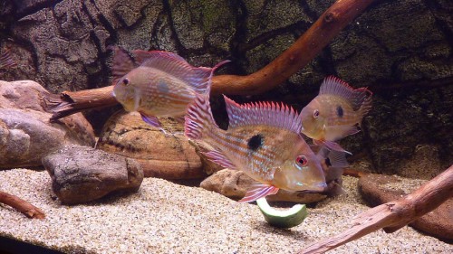 20121209 009.jpg