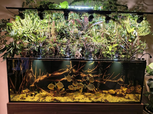 IMG_20251121_164932787_HDR.jpg (232.72 KiB) Zobrazené 4 krát IMG_20251121_164932787_HDR.jpg