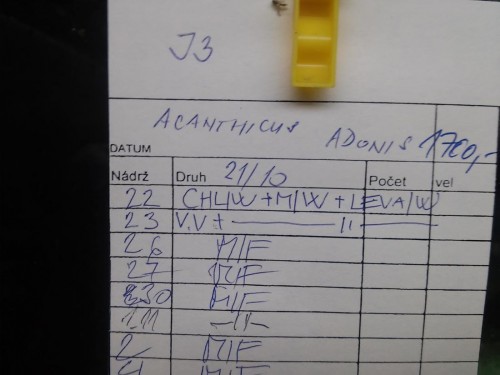 A 1.jpg