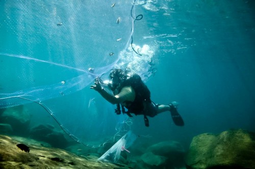 lake-malawi-underwater.jpg