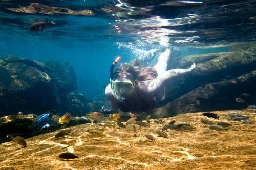 lake-malawi-diving.jpg