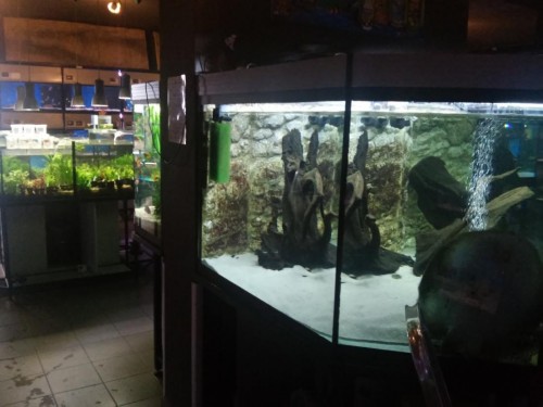 20160318_094645.jpg