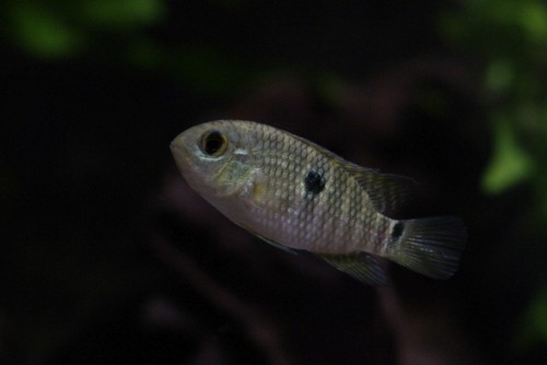 _IGP6980.JPG