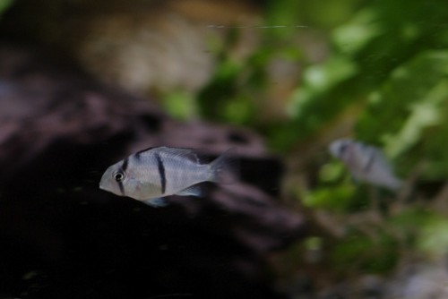 _IGP7149.JPG