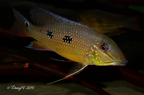 DSC_3920.jpg