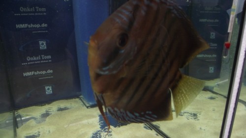 DSCF6430.JPG