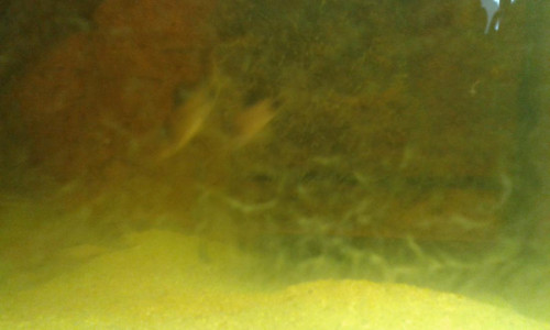20180112_143144.jpg